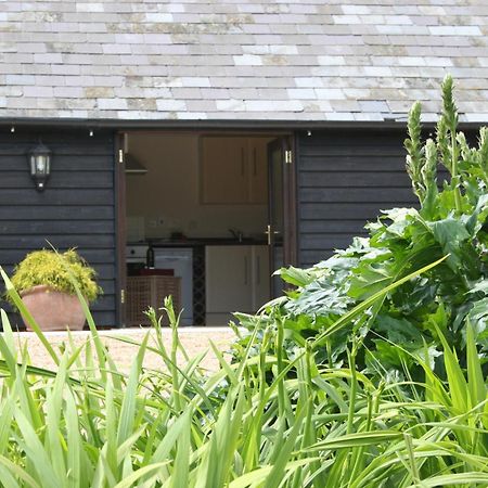 Five Cottages In Aonb Ashford  Luaran gambar